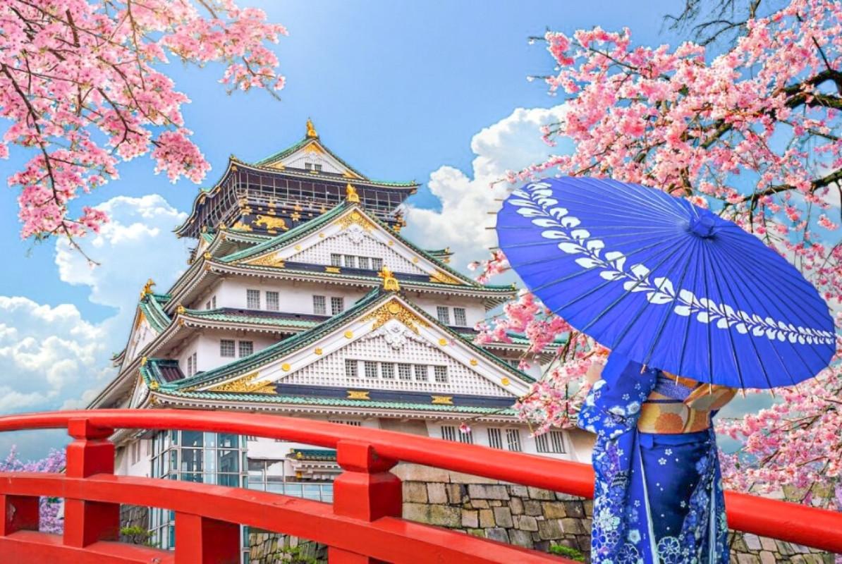 Cherry Blossom Festival (Hanami)